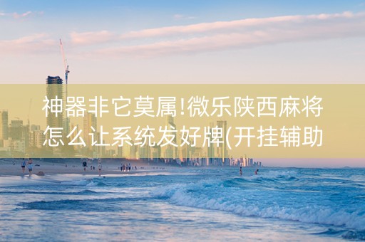 神器非它莫属!微乐陕西麻将怎么让系统发好牌(开挂辅助脚本)