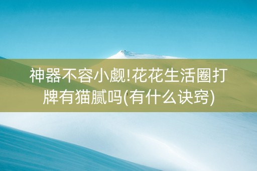 神器不容小觑!花花生活圈打牌有猫腻吗(有什么诀窍)