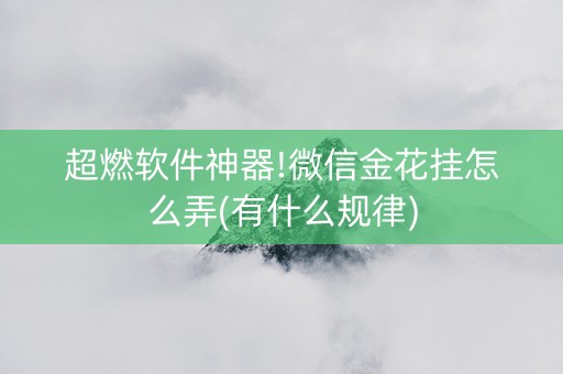 超燃软件神器!微信金花挂怎么弄(有什么规律)