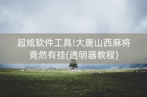 超炫软件工具!大唐山西麻将竟然有挂(透明器教程)