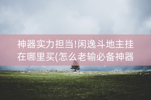 神器实力担当!闲逸斗地主挂在哪里买(怎么老输必备神器)