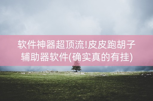 软件神器超顶流!皮皮跑胡子辅助器软件(确实真的有挂)