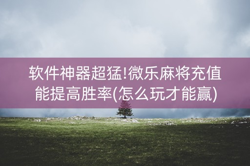 软件神器超猛!微乐麻将充值能提高胜率(怎么玩才能赢)