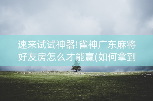 速来试试神器!雀神广东麻将好友房怎么才能赢(如何拿到好牌)