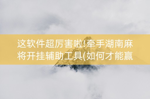 这软件超厉害啦!牵手湖南麻将开挂辅助工具(如何才能赢)