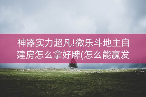 神器实力超凡!微乐斗地主自建房怎么拿好牌(怎么能赢发牌规律)