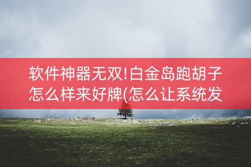 软件神器无双!白金岛跑胡子怎么样来好牌(怎么让系统发好牌)