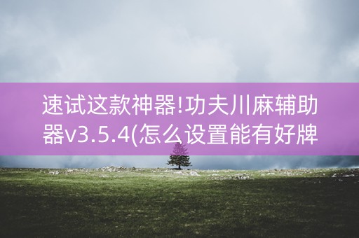 速试这款神器!功夫川麻辅助器v3.5.4(怎么设置能有好牌)