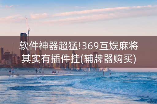 软件神器超猛!369互娱麻将其实有插件挂(辅牌器购买)