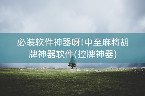 必装软件神器呀!中至麻将胡牌神器软件(控牌神器)