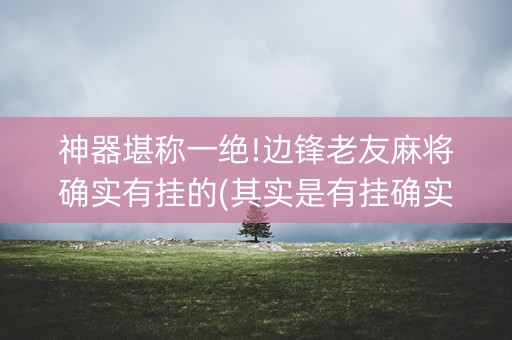 神器堪称一绝!边锋老友麻将确实有挂的(其实是有挂确实有挂)