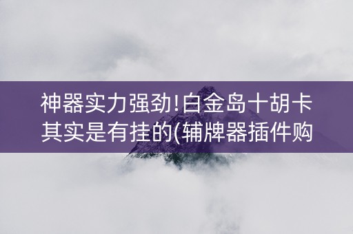 神器实力强劲!白金岛十胡卡其实是有挂的(辅牌器插件购买)