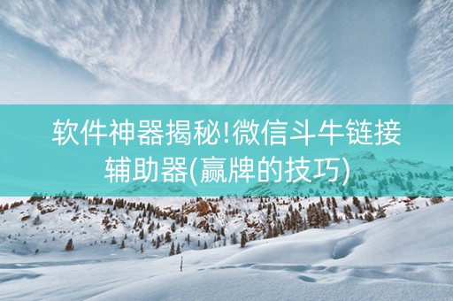 软件神器揭秘!微信斗牛链接辅助器(赢牌的技巧)
