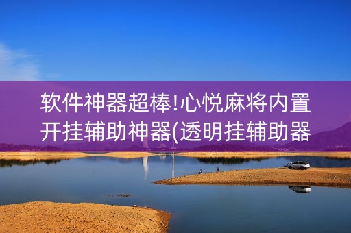软件神器超棒!心悦麻将内置开挂辅助神器(透明挂辅助器)