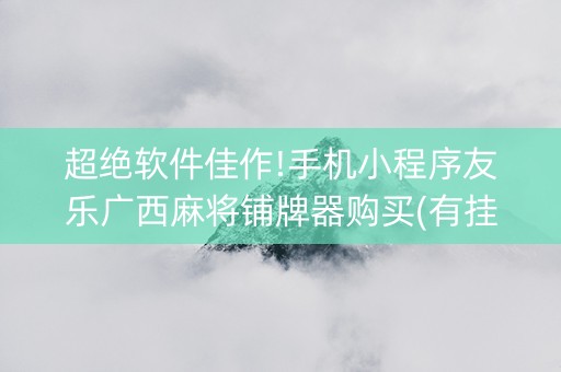 超绝软件佳作!手机小程序友乐广西麻将铺牌器购买(有挂技巧辅助器)