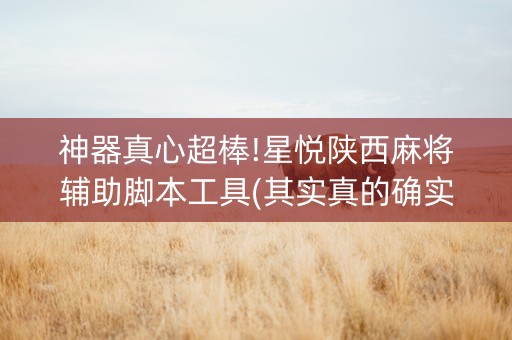 神器真心超棒!星悦陕西麻将辅助脚本工具(其实真的确实有挂)