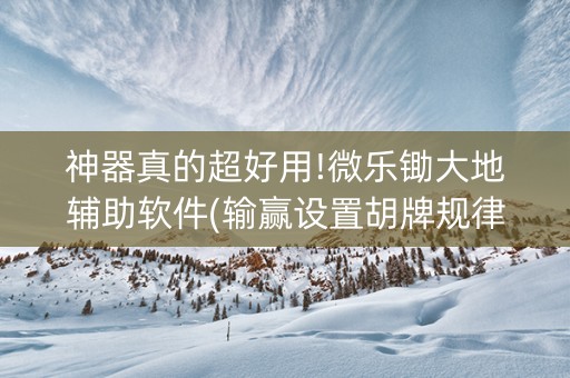 神器真的超好用!微乐锄大地辅助软件(输赢设置胡牌规律)