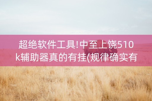 超绝软件工具!中至上饶510k辅助器真的有挂(规律确实有挂)