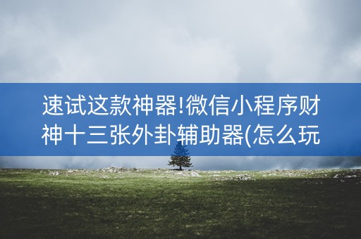 速试这款神器!微信小程序财神十三张外卦辅助器(怎么玩才能赢)