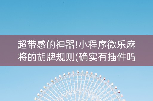 超带感的神器!小程序微乐麻将的胡牌规则(确实有插件吗)