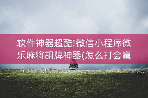 软件神器超酷!微信小程序微乐麻将胡牌神器(怎么打会赢)