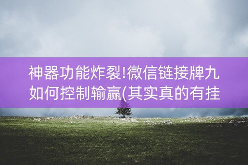 神器功能炸裂!微信链接牌九如何控制输赢(其实真的有挂)