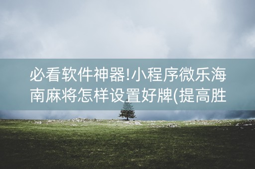 必看软件神器!小程序微乐海南麻将怎样设置好牌(提高胜率技巧)