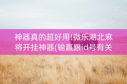 神器真的超好用!微乐湖北麻将开挂神器(输赢跟id号有关系吗)