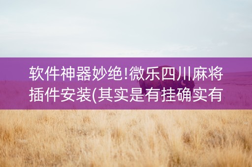 软件神器妙绝!微乐四川麻将插件安装(其实是有挂确实有挂)