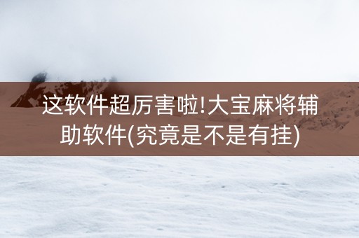 这软件超厉害啦!大宝麻将辅助软件(究竟是不是有挂)
