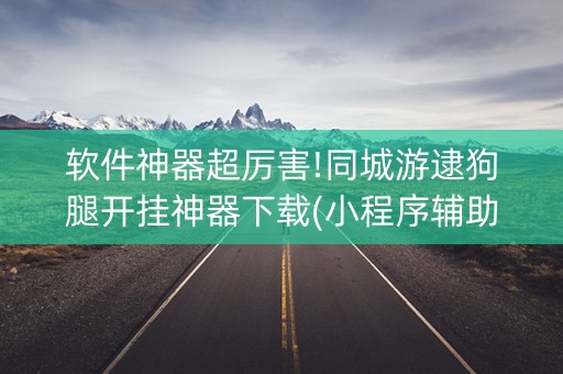 软件神器超厉害!同城游逮狗腿开挂神器下载(小程序辅助软件)