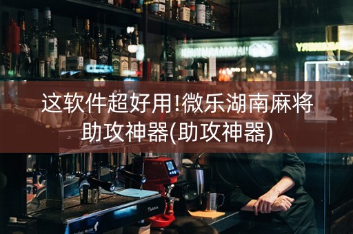 这软件超好用!微乐湖南麻将助攻神器(助攻神器)