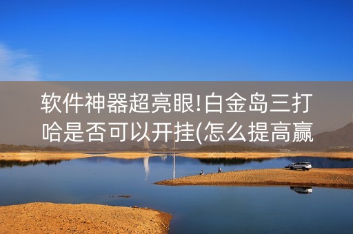 软件神器超亮眼!白金岛三打哈是否可以开挂(怎么提高赢牌率)