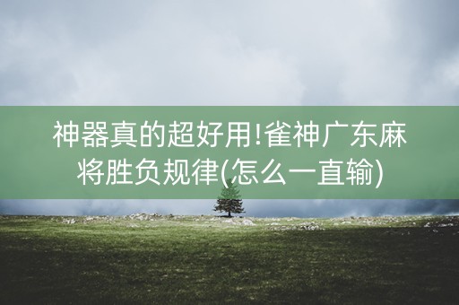 神器真的超好用!雀神广东麻将胜负规律(怎么一直输)