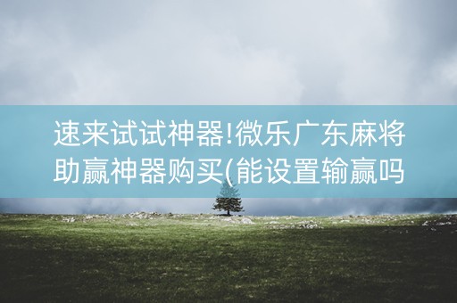 速来试试神器!微乐广东麻将助赢神器购买(能设置输赢吗)