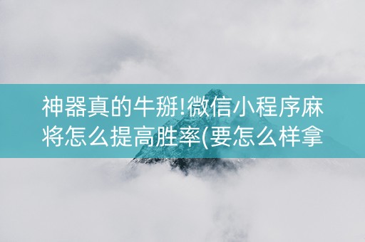 神器真的牛掰!微信小程序麻将怎么提高胜率(要怎么样拿到好牌)