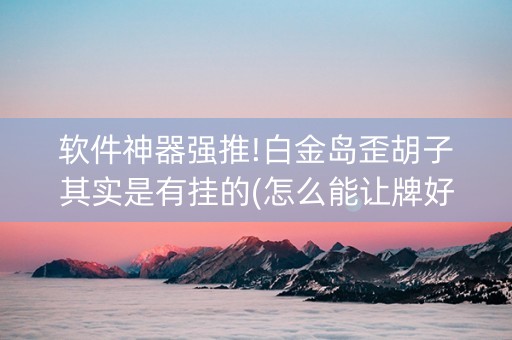 软件神器强推!白金岛歪胡子其实是有挂的(怎么能让牌好一点)
