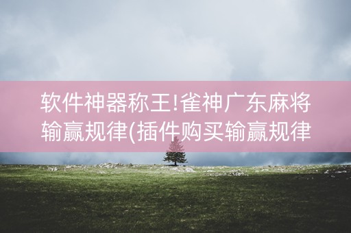 软件神器称王!雀神广东麻将输赢规律(插件购买输赢规律)