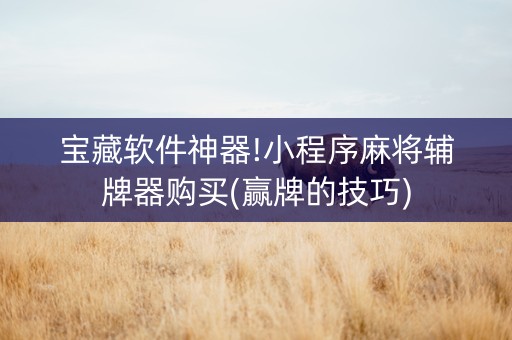 宝藏软件神器!小程序麻将辅牌器购买(赢牌的技巧)