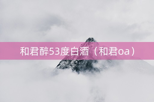 和君醉53度白酒（和君oa）