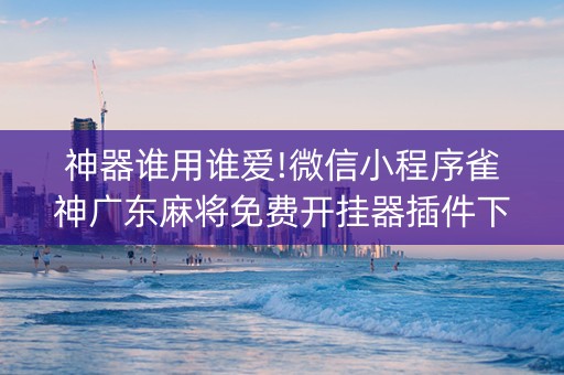 神器谁用谁爱!微信小程序雀神广东麻将免费开挂器插件下载(怎么只赢不输)