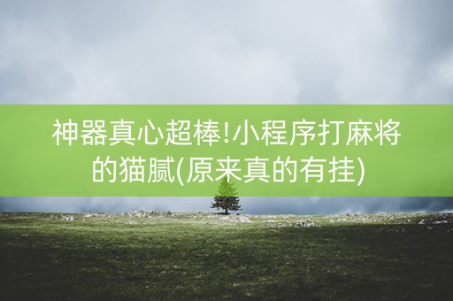 神器真心超棒!小程序打麻将的猫腻(原来真的有挂)