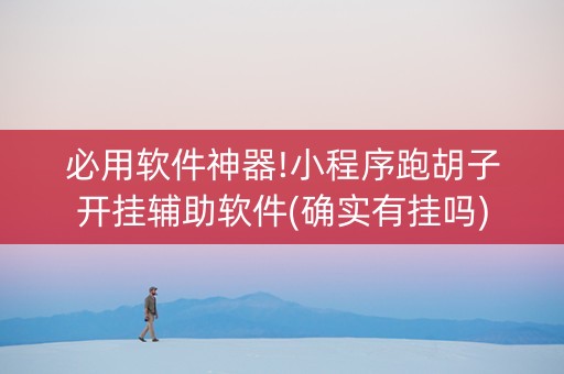 必用软件神器!小程序跑胡子开挂辅助软件(确实有挂吗)
