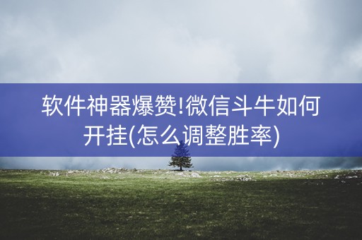 软件神器爆赞!微信斗牛如何开挂(怎么调整胜率)