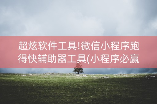 超炫软件工具!微信小程序跑得快辅助器工具(小程序必赢神器)