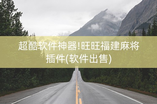 超酷软件神器!旺旺福建麻将插件(软件出售)