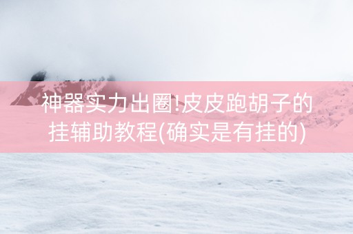 神器实力出圈!皮皮跑胡子的挂辅助教程(确实是有挂的)