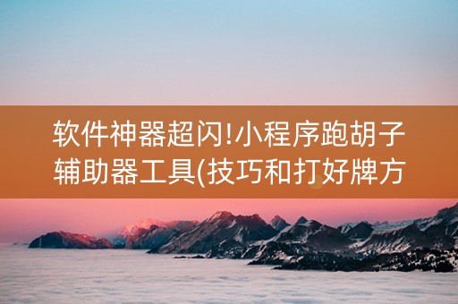 软件神器超闪!小程序跑胡子辅助器工具(技巧和打好牌方法)
