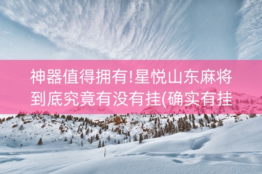 神器值得拥有!星悦山东麻将到底究竟有没有挂(确实有挂)