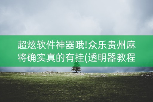 超炫软件神器哦!众乐贵州麻将确实真的有挂(透明器教程)
